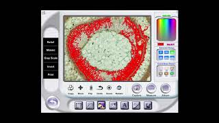 Elem Microscope Software Getting Started