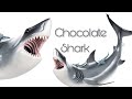 Chocolate Shark!