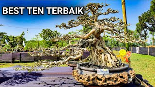 Komposisi yang Sempurna || BONSAI WARU