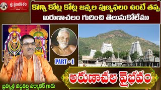 Part 1 అరుణాచల వైభవం | Arunachala Vaibhavam | Arunachala Mahathmyam | Sri Vaddiparti Padmakar Garu