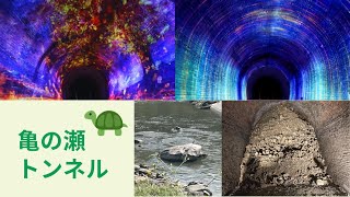 日本遺産【亀の瀬トンネル】ガイドツアー プロジェクションマッピング 柏原市