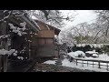 2022年2月21日雪の大原宝泉院　＃宝泉院＃雪の大原＃京都雪景色＃雪の京都