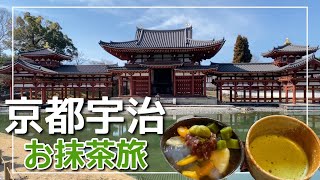 【宇治旅vlog】京都宇治で抹茶を食べ歩き旅/うさぎの神社で幸運ゲット