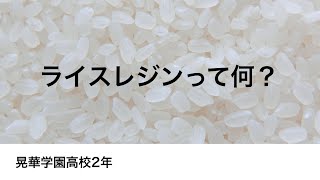 【大注目!!】脱プラスチックで世界を変えよう！〜ライスレジンって何？〜