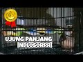 SUARA PERKUTUT BANGKOK KHAS JIHAN BIRD FARM PASURUAN