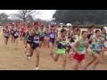 2015 千葉クロカン ジュニアの部 男子 8km