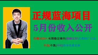 （5月份）正规蓝海项目收入大公开，日收1000+