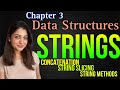 Python Strings. Basics, String Concatenation, String Slicing & String Methods.