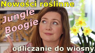 Paczka z Jungle Boogie * zimowe testowanie * pierwszy unboxing w 2025