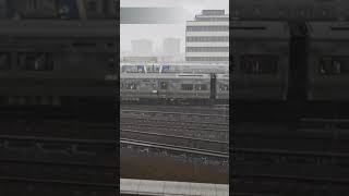 The graveyard of stuck trains near Jamaica station.