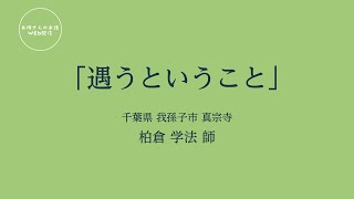 お坊さんのお話 WEB配信　 「遇うということ」柏倉 学法 師