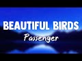 Beautiful Birds (Feat. Birdy) - Passenger{Lyrics Video}🦭