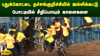 புதுக்கோட்டை தச்சங்குறிச்சியில் ஜல்லிக்கட்டு போட்டியில் சீறிப்பாயும் காளைகளை | Pudhukottai |JayaPlus