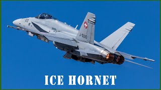 Ice Hornet - Dokumentarni film