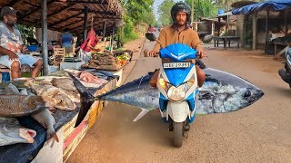 Massive Fresh Tuna Fish Transported and Cut with Skill at the Fish Market