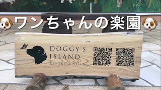 小谷流の里ドキーズアイランドで一泊旅行#犬と旅行