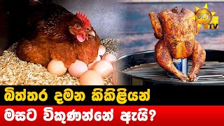 බිත්තර දමන කිකිළියන් - මසට විකුණන්නේ ඇයි? - Hiru News