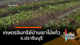 เกษตรอินทรีย์บ้านเขาไม้แก้ว จ.ปราจีนบุรี : อาชีพทั่วไทย