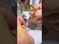 automatic soldering machine 你們微動開關是怎么焊的？半自動焊錫機微動開關焊引線腳踏式小型焊錫機 焊