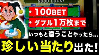 今回はMAX100BETでやったら「珍しい当たり」がでました【ボーナススピン】【メダルゲーム】