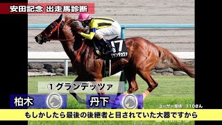 【競馬】【安田記念予想（一部公開版）】まるごと必勝チャンネル(土曜版) - netkeiba.com