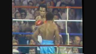 Sugar Ray Leonard Vs Andy Price Highlights (NABF Title)