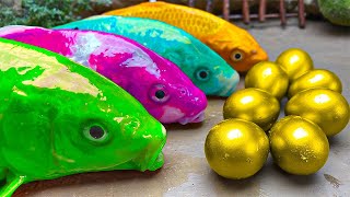 Magnetic Rainbow Fish - Trap Catfish, Crocodile, Colorful Eel Hunting Koi Fish Experiment