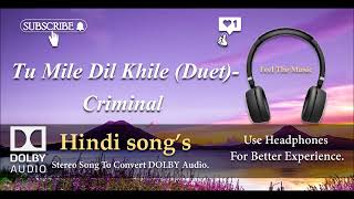 Tu Mile Dil Khile (Duet) - Criminal - Dolby audio song