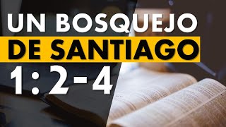 UN BOSQUEJO DE SANTIAGO 1 2 4