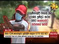 අපයෝජකයා කොටු කළ හැටි දුරකථනයෙන් කළ තර්ජනය hiru news