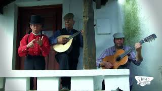 Baixinho do Fado - Manel não Toque no Bicho