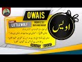 owais name meaning in urdu islamic baby boy name ali bhai