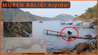 Fisherman Bay (Balıkçı bay) Adrasan | Kumluca Antalya Turkey