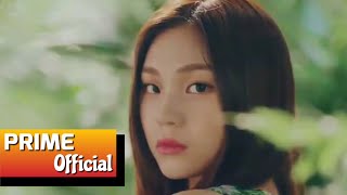 Untamed (길들여지지 않은) 'Kill This Love' MV