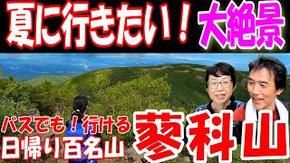 【ハイキング】夏に行きたい！！百名山　短時間完結「蓼科山」登山ルート実況