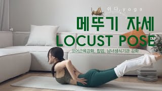 [Salabhasana]🦗메뚜기자세 | LOCUST POSE | 살라바사나 | 변형동작 | 함께배워요!