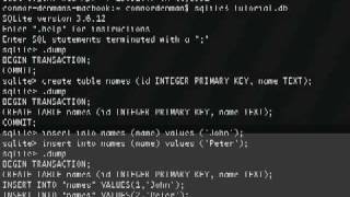 iPhone SDK - SQLite part 1