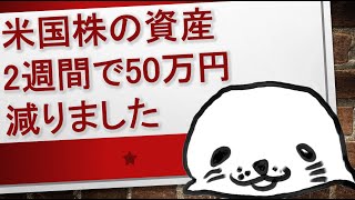 米国株の資産が2週間で50万円減りました