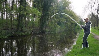 These Aggressive Canal Pike Were Going Wild! (Great Footage!)