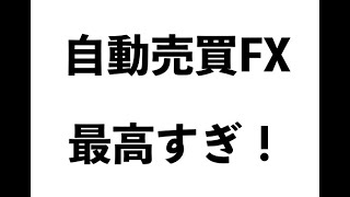 【FX自動売買】ループイフダンを検証！実績とおすすめ設定【大損？大儲け？】