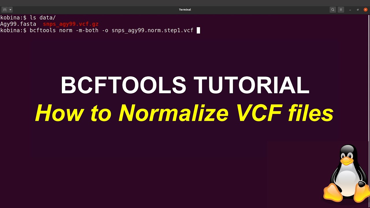 Bcftools Tutorials How Normalize Vcfs Youtube