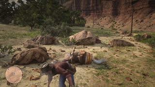 RDR2 - Rockstar Really doesn’t want Arthur in New Austin