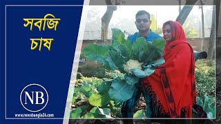 অনাবাদী জমিতে সবজি চাষ | Comilla | NewsBangla Dhakar Bairey Live