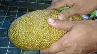 badak fruit in the Philippines