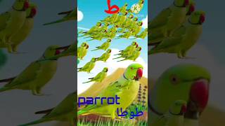 ط سے طوطا 🦜parrot means tota UrduAlfaaz Urdu harof e tahajjiurdu alphabets#youtubeshorts