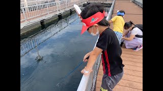 久しぶりのアジ釣りに挑戦♪ ヒットしたけど上手に釣れなかった一コマ♪ 横浜・八景島シーパラダイス ★Sea Paradaise in Yokohama Haskkei island★