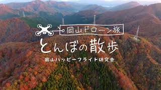 とんぼの散歩 第29回 新庄村の風景３　湖風景