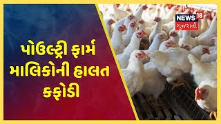 અરવલ્લીમાં Lockdown ના કારણે Poultry ફાર્મ માલિકોની હાલત કફોડી, 20 લાખ કરોડના રાહત પેકેજથી આશા