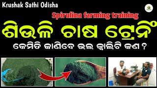 ଶିଉଳି ଚାଷ Spirulina farming training in odisha | Spirulina farming in odisha | Krushak sathi odisha