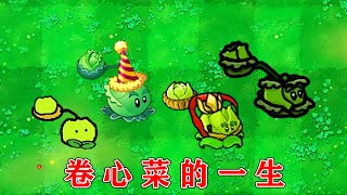 PvZ：卷心菜投手的成长史！